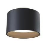 Потолочные светильники Maytoni